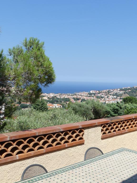 Villa Superbe Vue Sur Mer Et Sur La Montagne Jardin Terrasses Banyuls-sur-Mer Eksteriør billede
