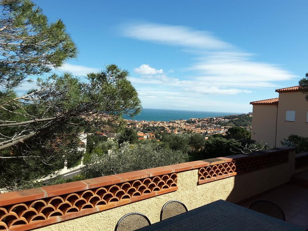 Villa Superbe Vue Sur Mer Et Sur La Montagne Jardin Terrasses Banyuls-sur-Mer Eksteriør billede