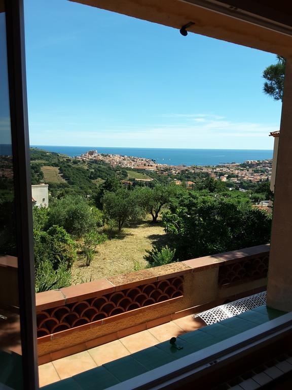 Villa Superbe Vue Sur Mer Et Sur La Montagne Jardin Terrasses Banyuls-sur-Mer Eksteriør billede